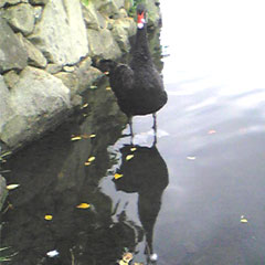 アップロードファイル 104-2.jpg