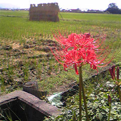 アップロードファイル 107-1.jpg