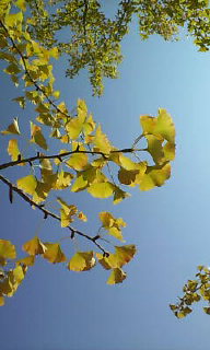 アップロードファイル 116-1.jpg