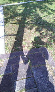 アップロードファイル 116-2.jpg