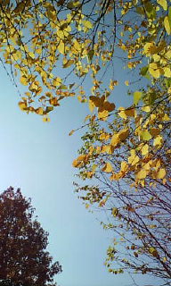 アップロードファイル 116-3.jpg