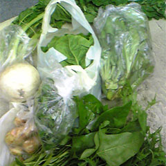 アップロードファイル 121-1.jpg