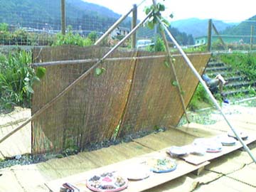 アップロードファイル 69-2.jpg