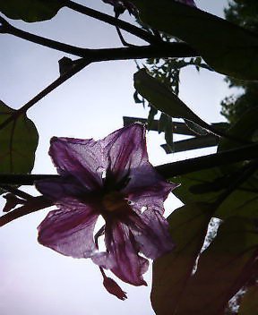 アップロードファイル 72-1.jpg