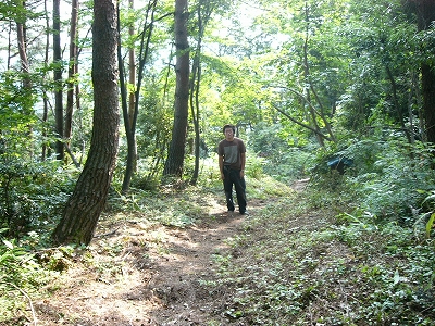 アップロードファイル 81-1.jpg