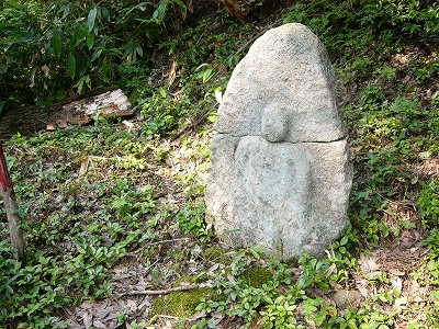 アップロードファイル 81-2.jpg