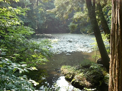 アップロードファイル 81-3.jpg