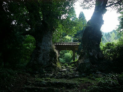 アップロードファイル 81-4.jpg