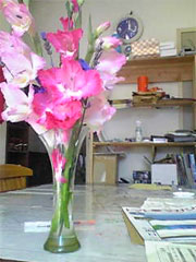 アップロードファイル 82-1.jpg