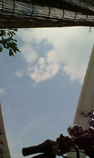 アップロードファイル 94-1.jpg