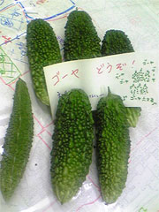 アップロードファイル 96-1.jpg